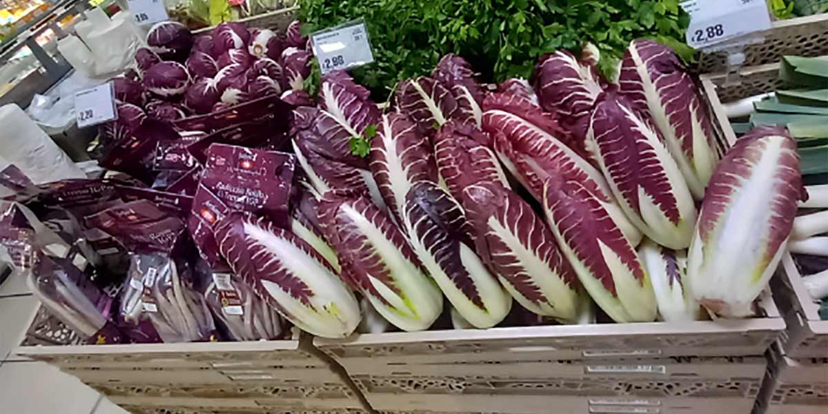 Premium e IV gamma sono l’ancora di salvezza del radicchio?